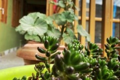 580024_7d9bbda06dd543c2a11e698c4eb08d6bmv2