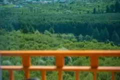 580024_2f6f78998ae44cb4a389b6af96f711d6mv2