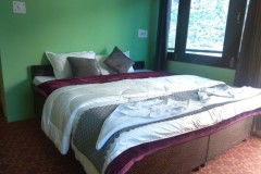 580024_98fddef6fd7d4ce5aa9e0338b0aedd36mv2