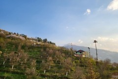 580024_4e041656842647cc90094918ff11fec4mv2