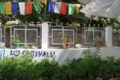 580024_95f15c15c85f4a7f94b7cdddc8e009b4mv2