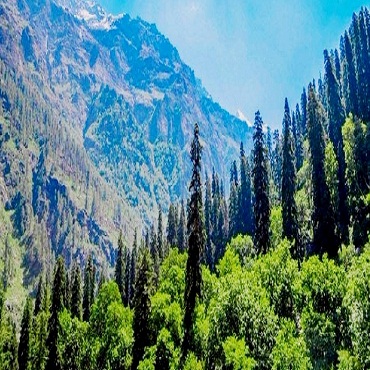 Kasol Tosh Weekend : 3 Days