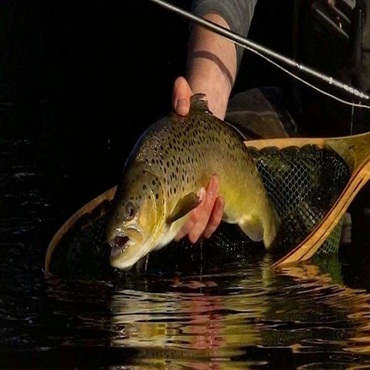 Trout Fishing Package – 4D